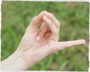 Apana-Vajju-mudra.jpg