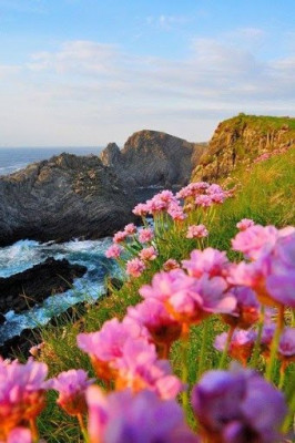 Ireland_spring3.jpg