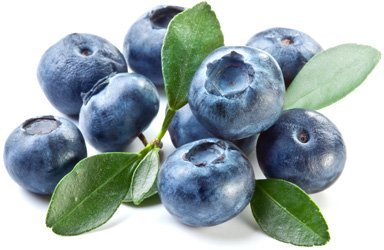 blueberry.jpg