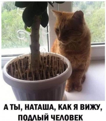 Наташа и Кот.JPG